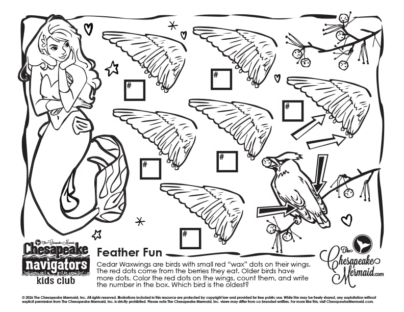 Feather Fun