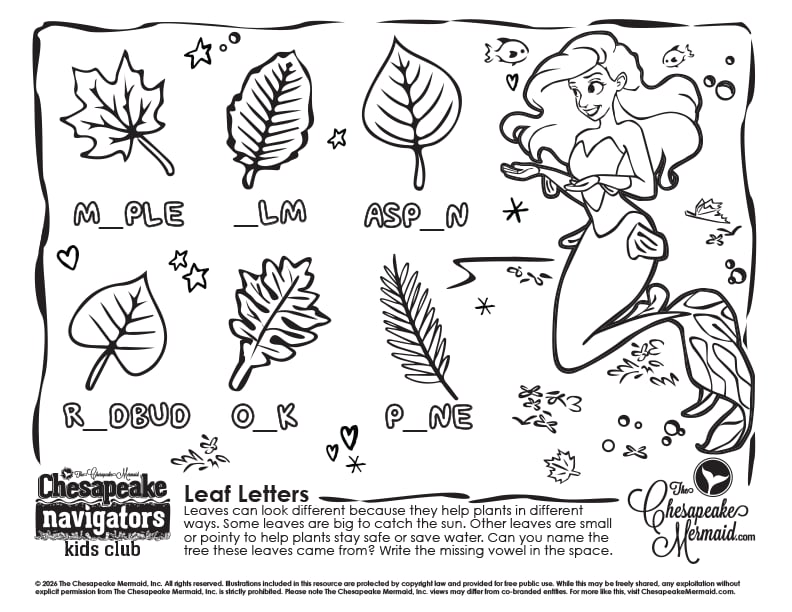 Leaf Letters